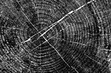 Soyut arkaplan. Monokrom dokusu. Siyah ve beyaz desenli arkaplan. 