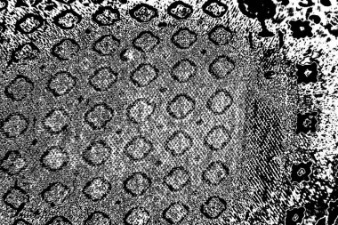 Soyut arkaplan. Monokrom dokusu. Siyah ve beyaz desenli arkaplan. 