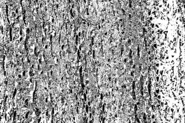 Soyut arkaplan. Monokrom dokusu. Siyah ve beyaz desenli arkaplan. 