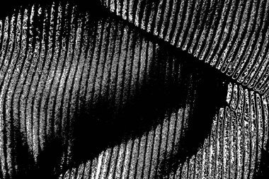 Soyut arkaplan. Monokrom dokusu. Siyah ve beyaz desenli arkaplan. 