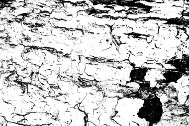 Soyut arkaplan. monokrom dokusu. resim siyah ve beyaz tonları içerir.