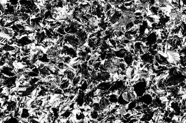 Soyut siyah beyaz arkaplan. Monokrom dokusu