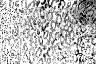 Soyut arkaplan. Monokrom dokusu. Siyah ve beyaz desenli arkaplan. 