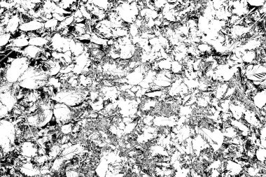 Soyut siyah beyaz arkaplan. Monokrom dokusu