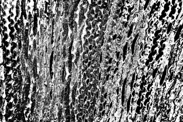 Sfondo Astratto Struttura Monocromatica Bianco Nero Sfondo Strutturato — Foto Stock