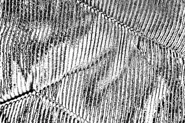 soyut siyah ve beyaz desenli arkaplan. 