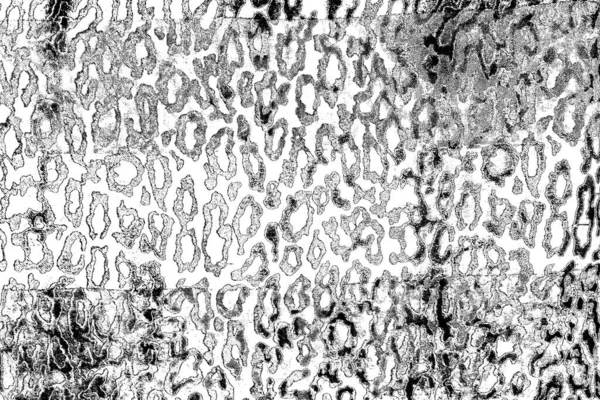 Soyut arkaplan. Monokrom dokusu. Siyah ve beyaz desenli arkaplan. 