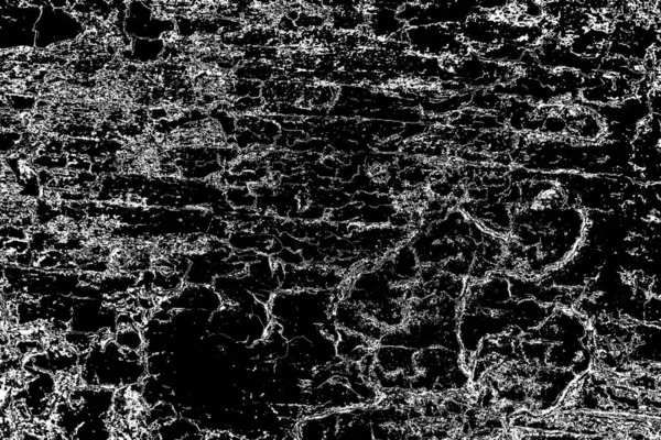 Abstracte Achtergrond Monochrome Textuur Zwart Wit Textuur Achtergrond — Stockfoto