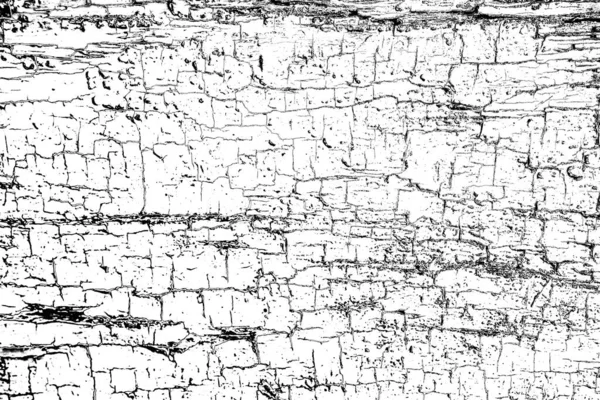 Fondo Abstracto Textura Monocromática Fondo Texturizado Blanco Negro — Foto de Stock