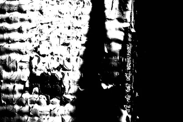 Fondo Abstracto Textura Monocromática Fondo Texturizado Blanco Negro — Foto de Stock