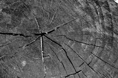 soyut siyah ve beyaz desenli arkaplan. 