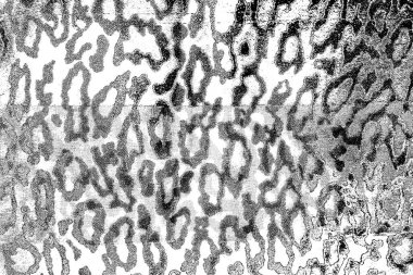 Soyut arkaplan. Monokrom dokusu. Siyah ve beyaz desenli arkaplan. 