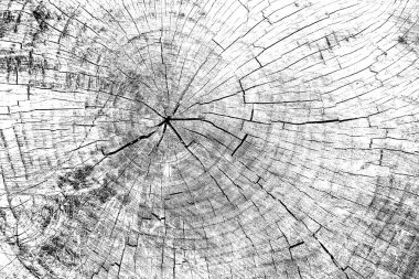 Soyut arkaplan. Monokrom dokusu. Siyah ve beyaz desenli arkaplan. 