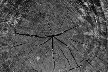 soyut siyah ve beyaz desenli arkaplan. 