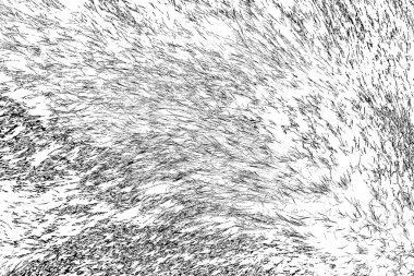 Soyut arkaplan. Monokrom dokusu. Siyah ve beyaz desenli arkaplan. 