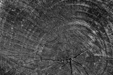 soyut siyah ve beyaz desenli arkaplan. 