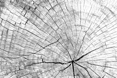 Soyut arkaplan. Monokrom dokusu. Siyah ve beyaz desenli arkaplan. 