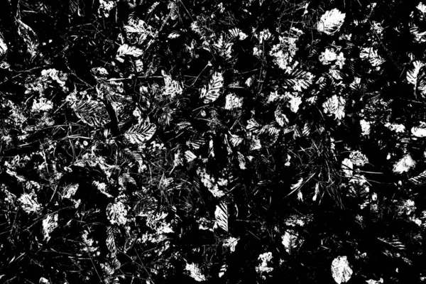 Contexte Abstrait Texture Monochrome Fond Texturé Noir Blanc — Photo