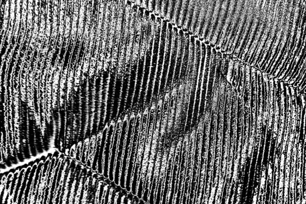 Contexte Abstrait Texture Monochrome Fond Texturé Noir Blanc — Photo