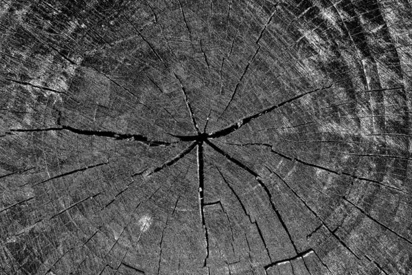 soyut siyah ve beyaz desenli arkaplan. 