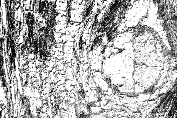 Abstraktní Pozadí Monochromní Textura Černobílé Texturované Pozadí — Stock fotografie