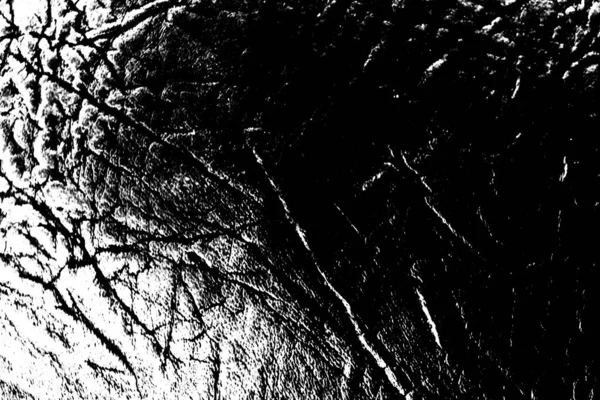 Abstract Black White Textured Background Monochrome Texture — Stock Photo, Image