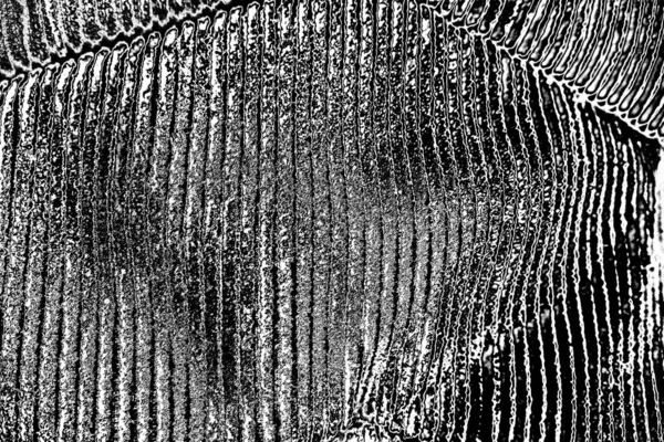 Soyut arkaplan. monokrom dokusu. resim siyah ve beyaz tonları içerir.