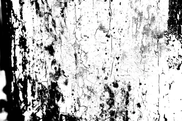 Fundo Abstrato Textura Monocromática Preto Branco Texturizado Fundo — Fotografia de Stock