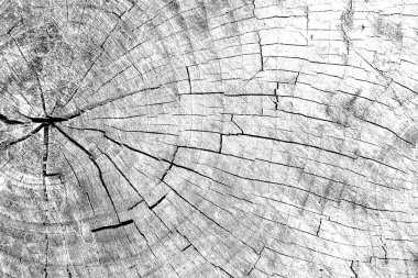 Soyut arkaplan. Monokrom dokusu. Siyah ve beyaz desenli arkaplan. 