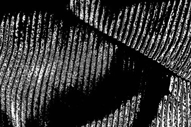 Soyut arkaplan. Monokrom dokusu. Siyah ve beyaz desenli arkaplan. 