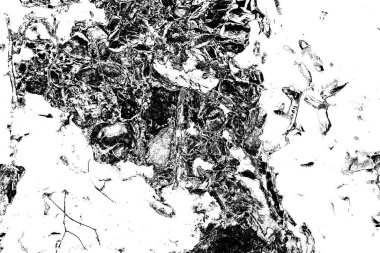 Soyut arkaplan. Monokrom dokusu. Siyah ve beyaz desenli arkaplan. 