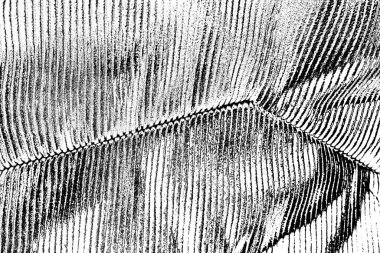 soyut siyah ve beyaz desenli arkaplan. 