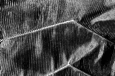 Soyut siyah beyaz arkaplan. Monokrom dokusu