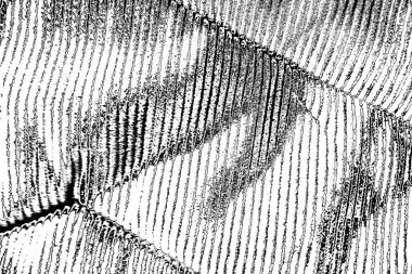 Soyut arkaplan. Monokrom dokusu. Siyah ve beyaz desenli arkaplan. 