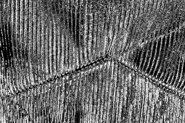 Soyut arkaplan. monokrom dokusu. resim siyah ve beyaz tonları içerir.