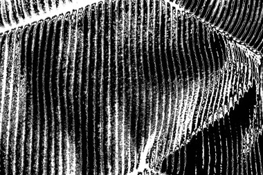 Soyut siyah beyaz arkaplan. Monokrom dokusu