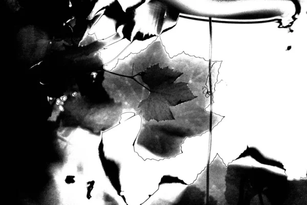 Fondo Abstracto Textura Monocromática Fondo Texturizado Blanco Negro —  Fotos de Stock