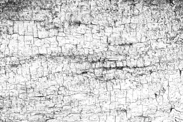 Fondo Texturizado Blanco Negro Abstracto Textura Monocromática — Foto de Stock