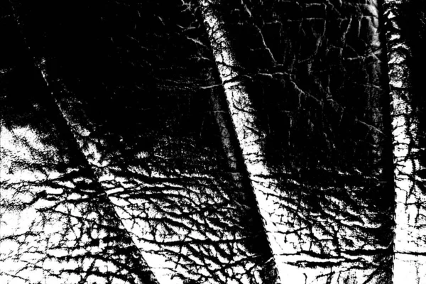 Abstrait Noir Blanc Fond Texturé — Photo