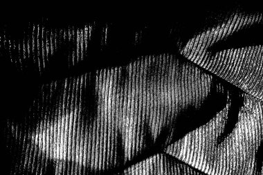 Soyut arkaplan. Monokrom dokusu. Siyah ve beyaz desenli arkaplan. 