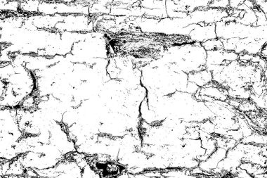 Soyut arkaplan. monokrom dokusu. resim siyah ve beyaz tonları içerir.