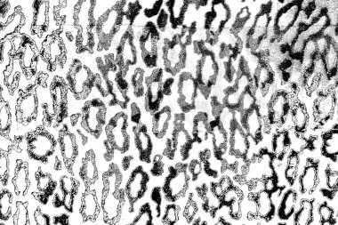 Soyut arkaplan. monokrom dokusu. resim siyah ve beyaz tonları içerir.