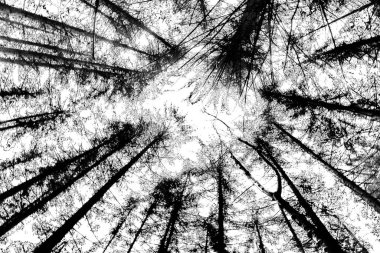 Soyut arkaplan. Monokrom dokusu. Siyah ve beyaz desenli arkaplan. 