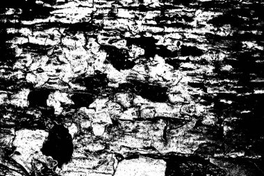 Soyut arkaplan. monokrom dokusu. resim siyah ve beyaz tonları içerir.