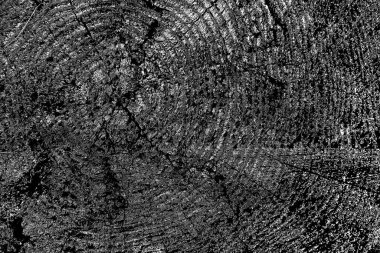 Soyut arkaplan. Monokrom dokusu. Siyah ve beyaz desenli arkaplan. 