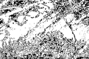 Soyut arkaplan. Monokrom dokusu. Siyah ve beyaz desenli arkaplan. 