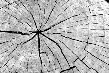 Soyut arkaplan. Monokrom dokusu. Siyah ve beyaz desenli arkaplan. 