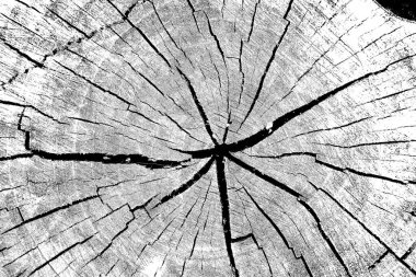 Soyut arkaplan. Monokrom dokusu. Siyah ve beyaz desenli arkaplan. 