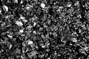 Soyut arkaplan. Monokrom dokusu. Siyah ve beyaz desenli arkaplan. 