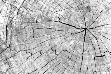 Soyut arkaplan. monokrom dokusu. resim siyah ve beyaz tonları içerir.